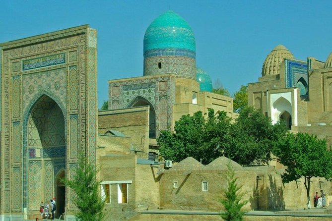 1-Day Tour of Samarkand from Tashkent - Transport Comfort: Driver, Guide, and How the Day Stays Plugged Together