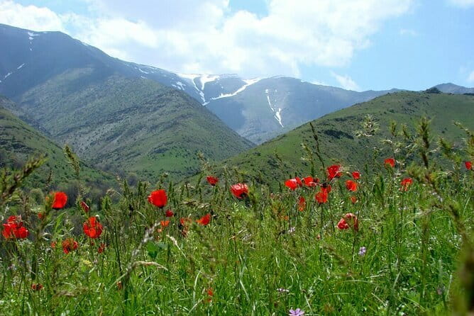 1 Day Tour to Shakhrisabz: Motherland of Amir Temur - Teshiktash Heart-Stone: The Through-Hole Detail You Should Hunt For
