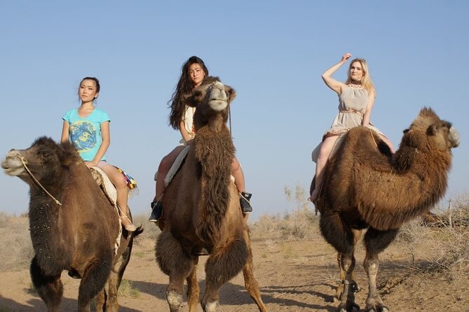 2 Days of Tour in Yurt Camp and Aydarkul - Desert night near Aydarkul Lake, in practical terms