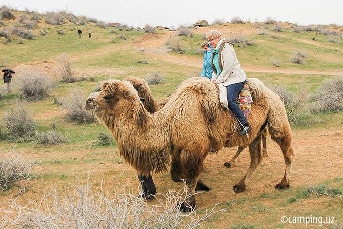 2 Days of Tour in Yurt Camp and Aydarkul - Nurota yurt camp and the short camel ride