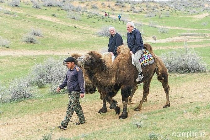 2 Days of Tour in Yurt Camp and Aydarkul - Transfers, driver/instructor setup, and what is not included