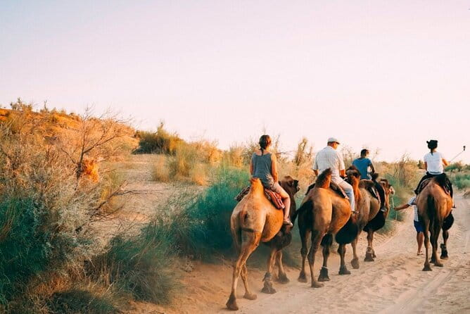 2 Days Private Safari Tour from Bukhara - Key highlights you’ll want on your radar
