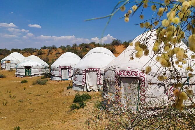 2 Days Private Safari Tour from Bukhara - What you actually get for $170 per person