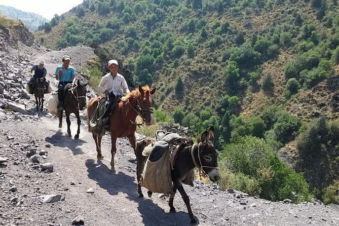 3-Day Chimgan Trekking Tour - From Tashkent to Chimgan, you’re already doing the hard part