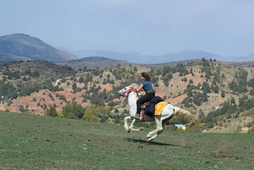 Amirsoy, Chimgan & Charvak Full-Day Adventure - What to Bring (and What to Skip) for Cold Mountain Conditions