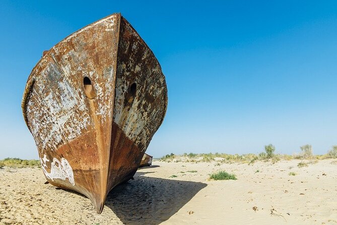 Aral Sea One Day Tour from Tashkent - Key things I’d flag before you go