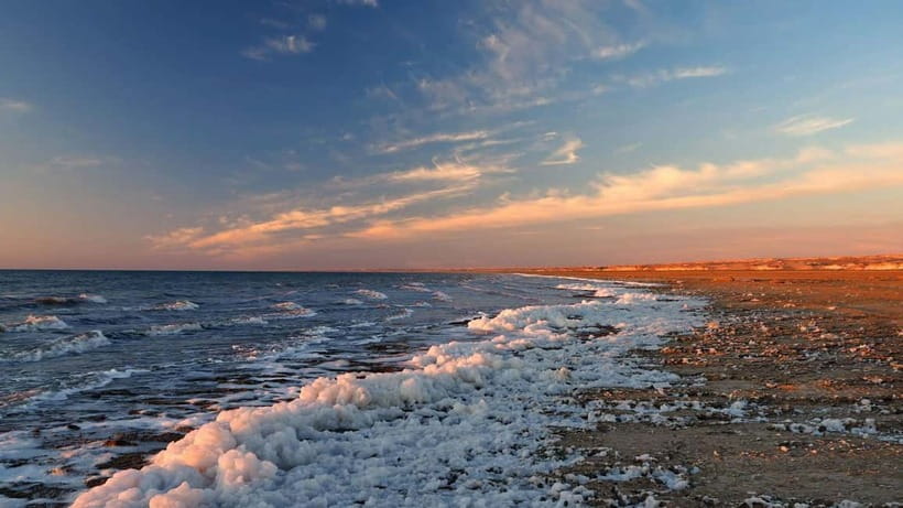 Aral Sea Tour from Nukus 1 night / 2 days - Key highlights that make this tour worth it