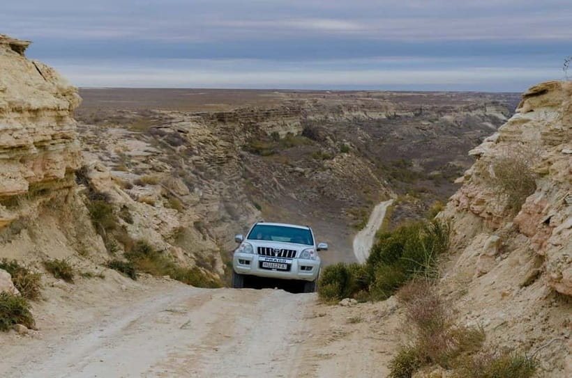 Aral Sea Tour from Nukus 1 night / 2 days - Day 2: sunrise energy, bird life, and the long return drive