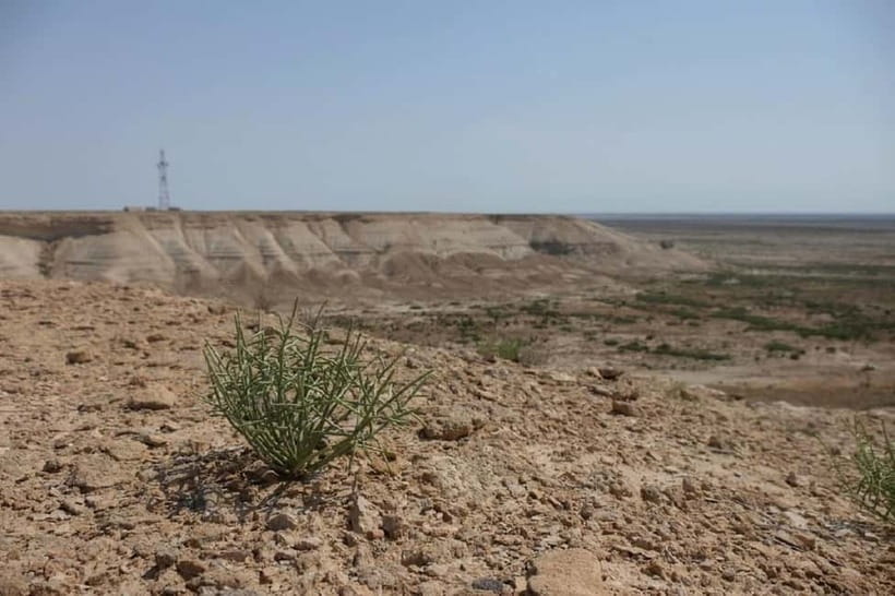 Aral Sea Tour from Nukus 1 night / 2 days - Road conditions, comfort, and who should reconsider