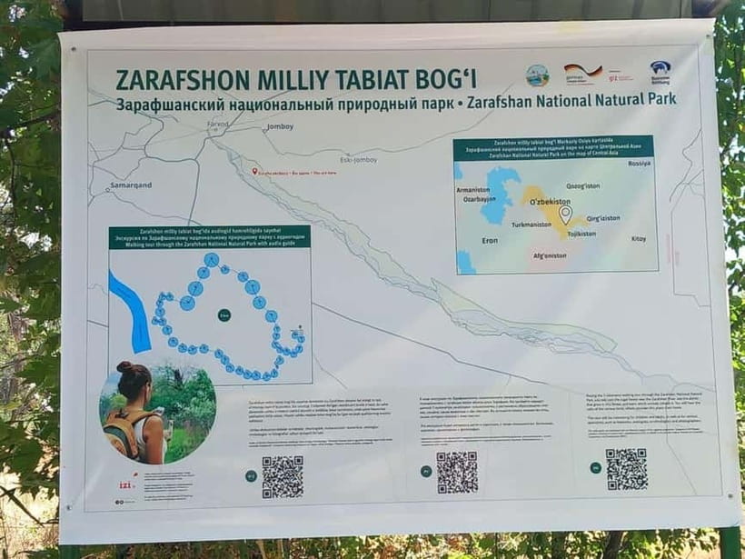 Bird Watching Tours in Samarkand - Key highlights in plain birding terms
