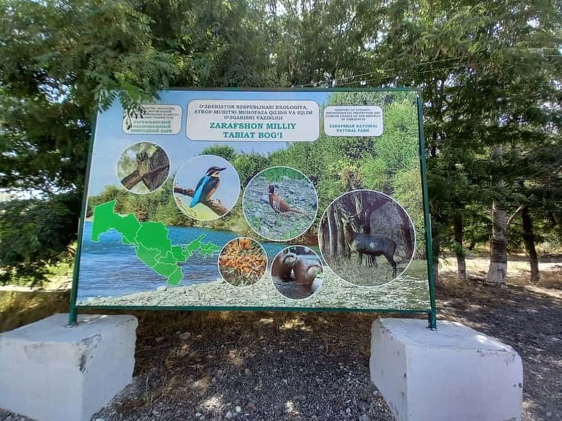 Bird Watching Tours in Samarkand - How the Zeravshan and Ishtixan habitats shape your birding day