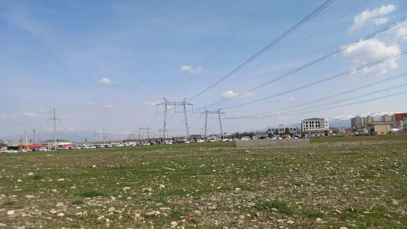 Bird Watching Tours in Samarkand - Should you book Bird Watching Tours in Samarkand?