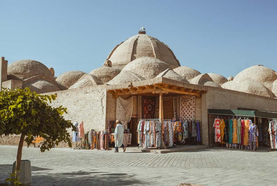 Bukhara: Full-Day Guided Tour with English-Speaking Guide - Starting near Lyabi Khauz: where your day starts and why it fits