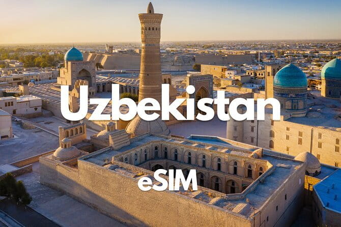 Bukhara: Walking Tour with a Small Group - Abdulaziz Khan Madrasah and Ulugbek Madrasah: Tile Work and Political Prestige