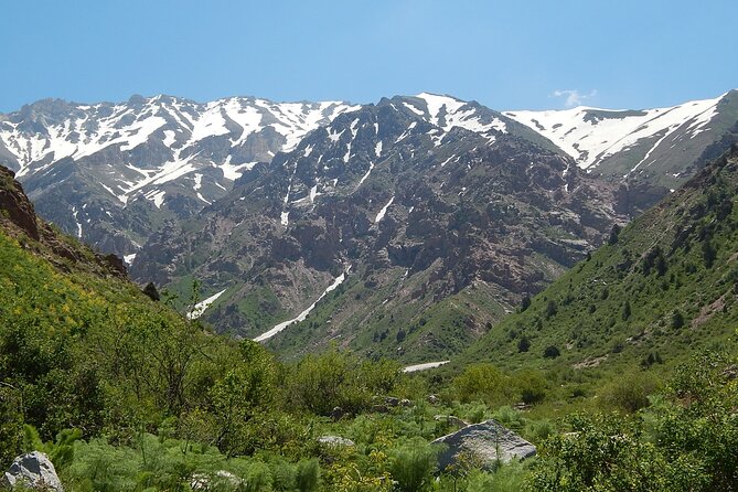 Day Tour to Shahrisabz of Amir Timur - Why Shahrisabz Feels Different From Samarkand