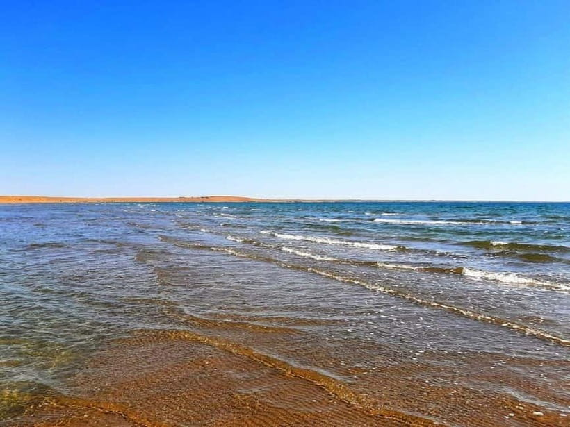 Desert Adventure from Samarkand: Yurt Camp & Aydarkul Escape - How This 2-Day Desert Adventure Actually Plays Out