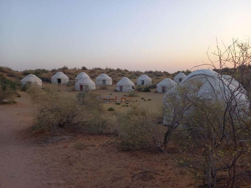 Desert Adventure from Samarkand: Yurt Camp & Aydarkul Escape - Yurt Camp Night: Camel Ride, Fire-Side Songs, and Sleeping Under Stars