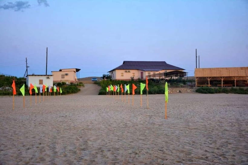 Desert Adventure from Samarkand: Yurt Camp & Aydarkul Escape - Who This Tour Fits Best (and Who Should Skip It)