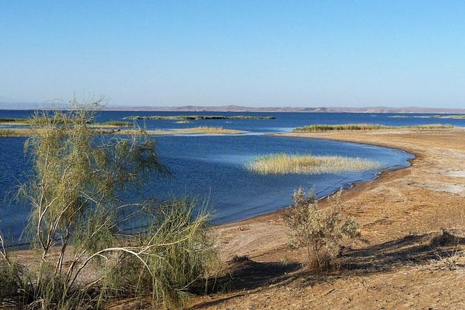 Desert Yurt Camp tour - 2 days (shared) - Why this Bukhara-to-desert-to-Samarkand route feels special