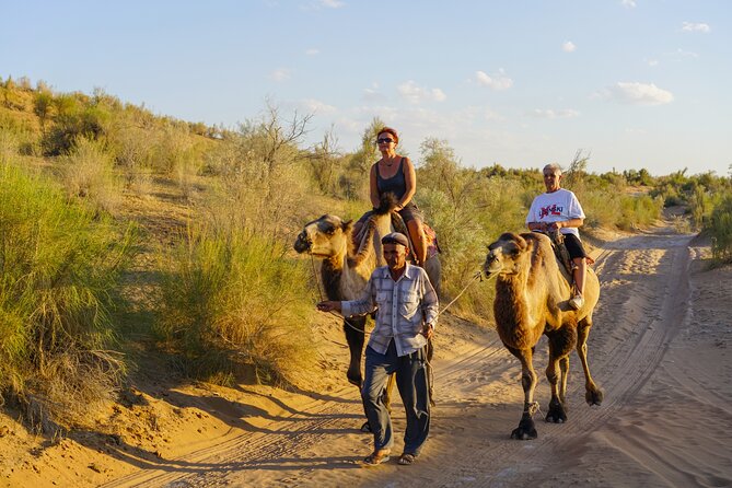 Desert Yurt Camp tour - 2 days (shared) - Who this tour suits best
