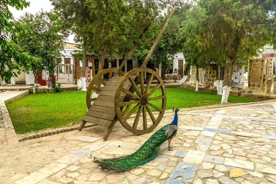 Explore Bukhara Countryside with Local Lunch Experience - What this full-day Bukhara countryside tour really delivers