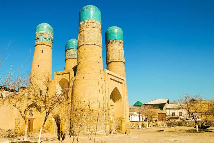 Explore Bukhara Countryside with Local Lunch Experience - Price and value: $95 per person, plus a small museum add-on