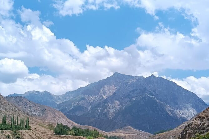 Fergana Valley 2-Day Private Tour - Fergana Valley in 2 days, why this region feels like a different Uzbekistan