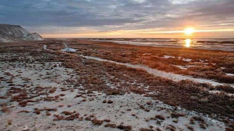 From Khiva To Aral Sea 2-Days One Night In Yurt Stay - Yurt Camp Night by the Aral Sea: Dinner, Warmth, and a Sky Full of Stars