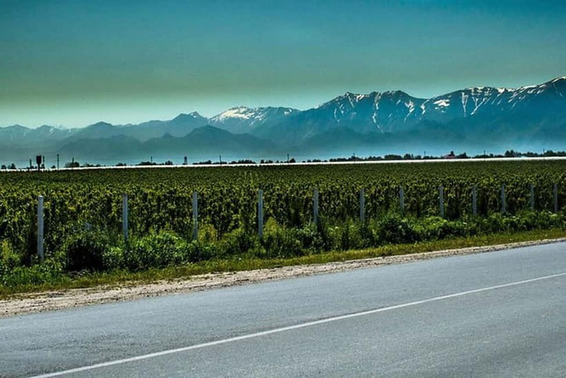 From Samarkand: Shahrisabz Day Trip & Mountain Pass Tour - The big picture: Shahrisabz is the Timurid origin story