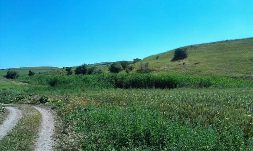 From Tashkent: Chimgan Valley Hiking Day Trip - Key Highlights Worth Booking