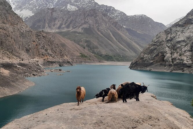 Full Day Private Tour in Seven Lakes from Samarkand - Marghuzor, Soya, then higher: how the lake loop keeps paying off