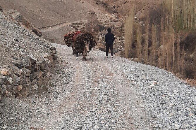 Full Day Private Tour in Seven Lakes from Samarkand - Comfort, safety, and the realistic road conditions