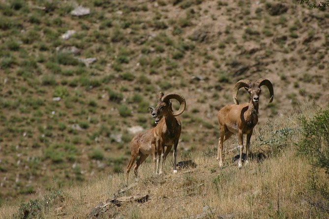 Hiking tour to Hayat, Uhum and Asraf villages – 4 days - Homestays, Uzbek meals, and the end of eating-on-your-own