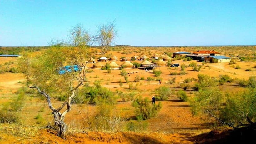 Kyzylkum Desert tour from Samarkand (1Night 2 Days) - Where This Tour Actually Shines: Yurts, Lake Time, and a Real Shift in Pace