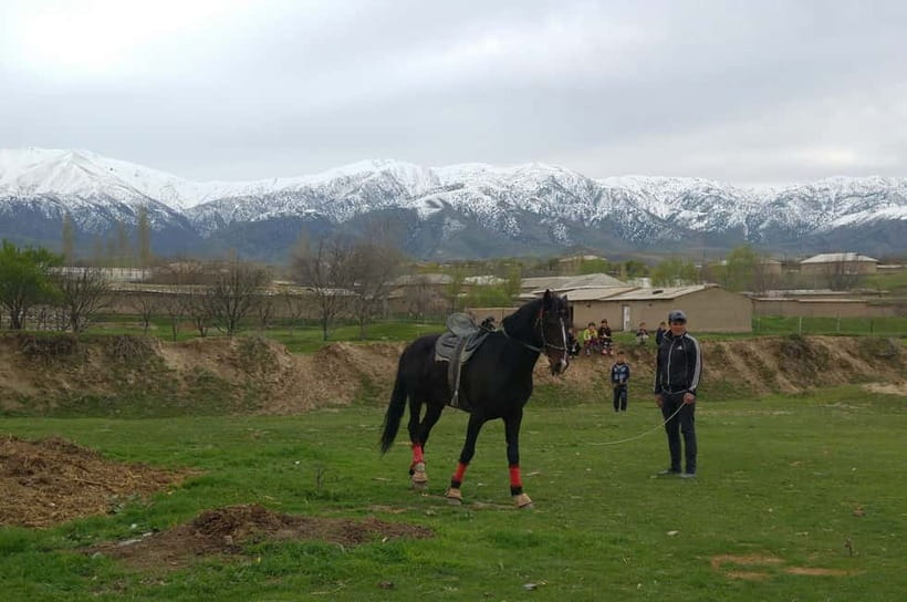 Samarkand: Uloq-Kopkari (Buzkashi) Game Day Tour - Key things to know before you go