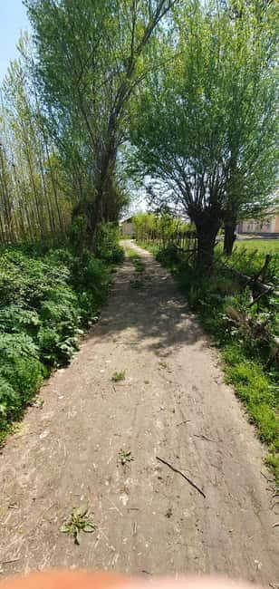Samarkand: Village Tour with Plov Cooking Class & Home Visit - Key things that make this tour worth your time