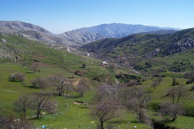 Shahrisabz Private Excursion From Samarkand. - Tea house break and bazaar time: the local pace reset