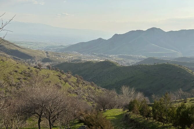 Shakhrisabz Private Day Tour from Samarkand - The Samarkand pickup and the ride south to the pass