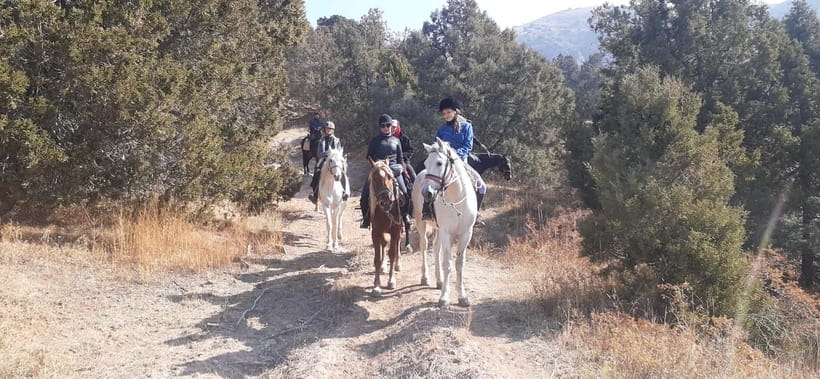 Tashkent: 3-Day Horseback Riding Tour in Chimgan Mountains - Key Highlights You’ll Actually Feel