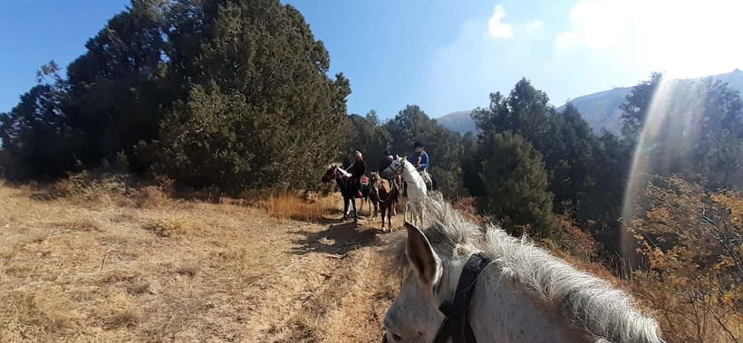 Tashkent: 3-Day Horseback Riding Tour in Chimgan Mountains - Three Days of Horseback, Campfires, and Mountain Rhythm