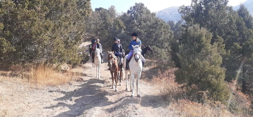 Tashkent: 3-Day Horseback Riding Tour in Chimgan Mountains - Getting to Chimgan Mountains from Tashkent: Don’t Waste Daylight